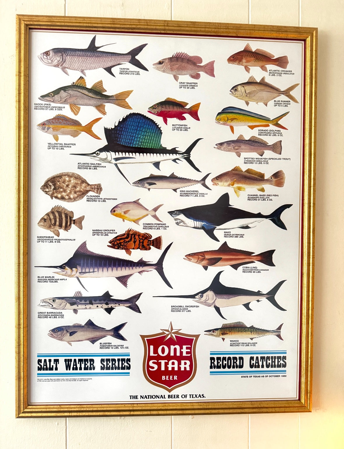 Saltwater Record Catches Lone Star Beer Poster
