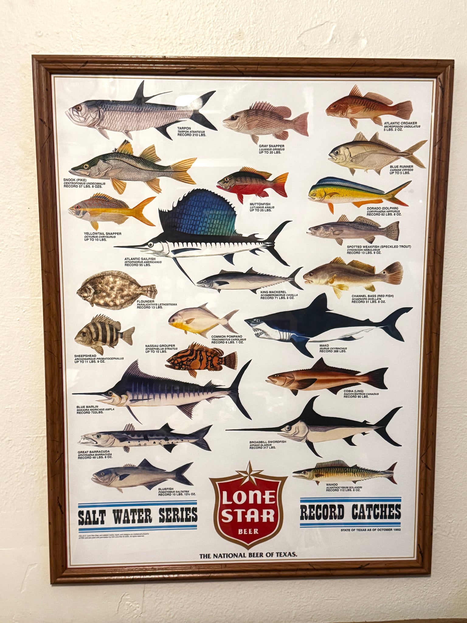 [Preorder] Saltwater Record Catches Lone Star Beer Poster