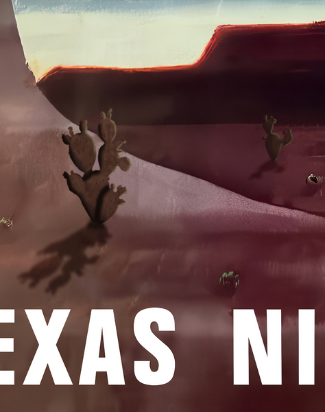 Lone Star Light Constellation "Texas Night Lights" Print
