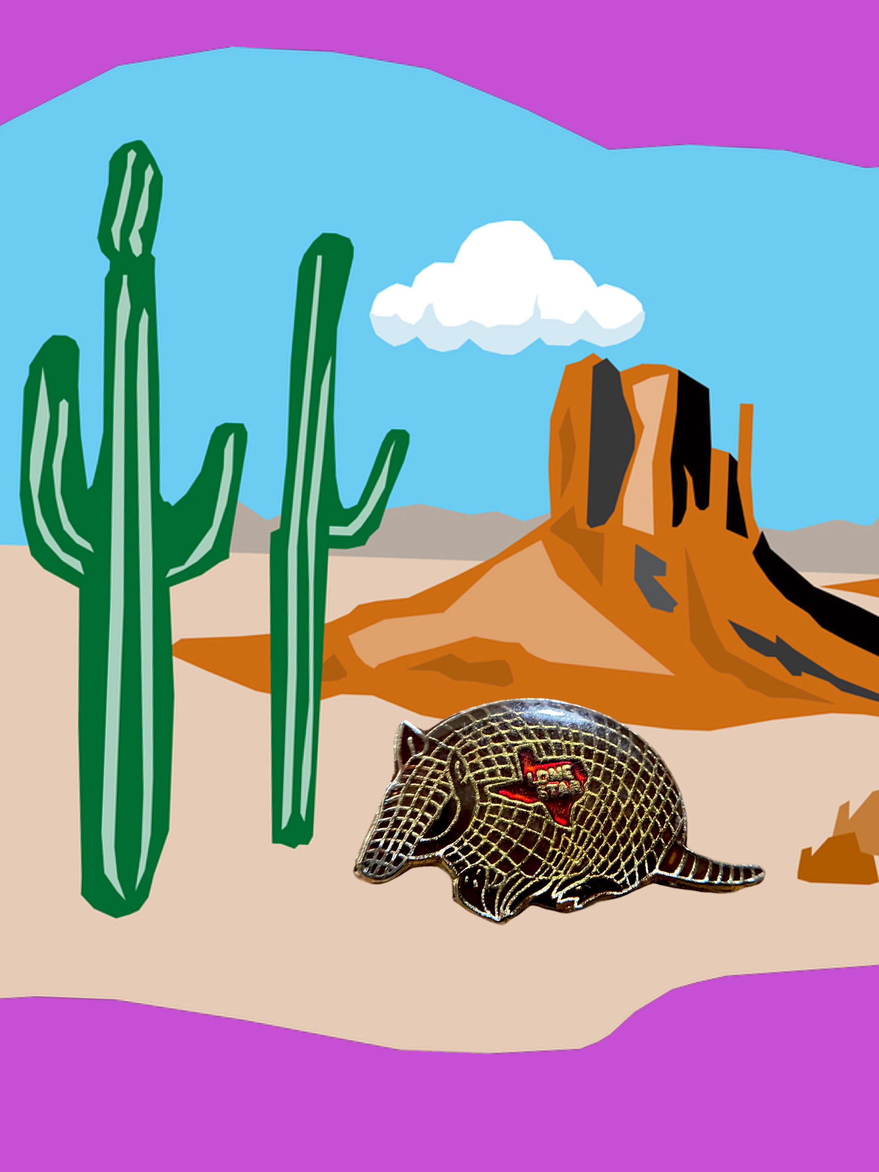 70’s Lone Star Armadillo Pin