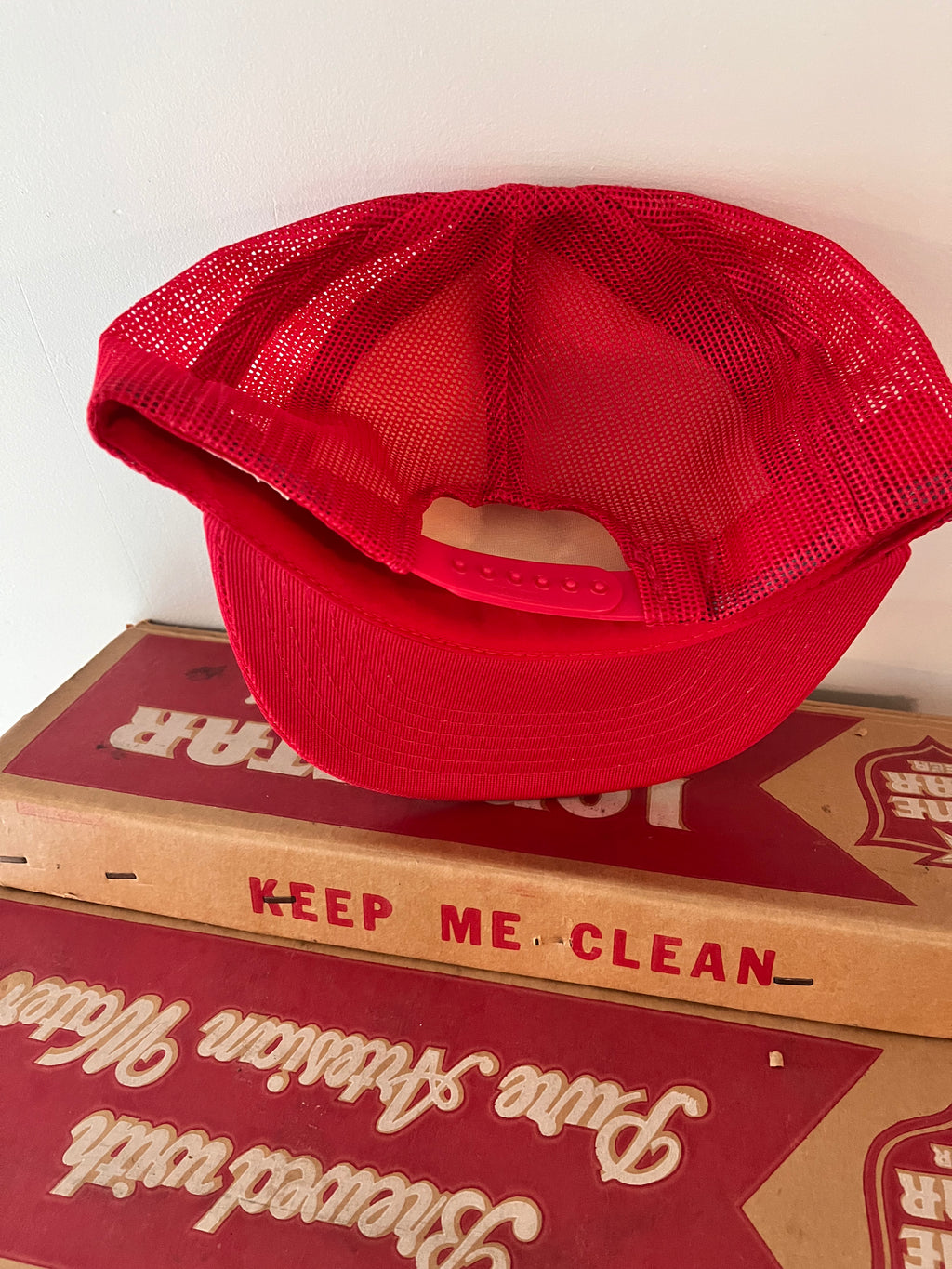 Vintage Lone Star Armadillo Snapback Trucker