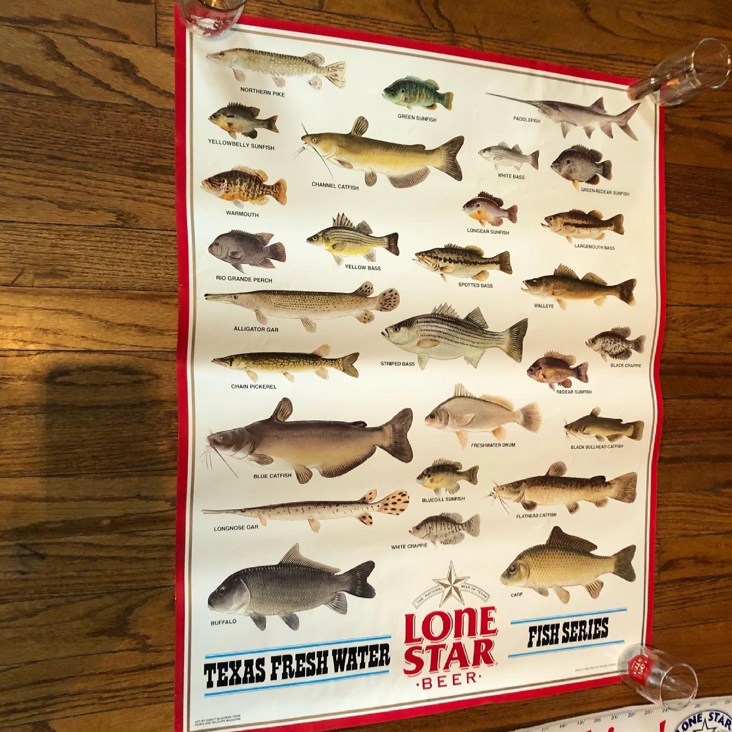 1988 Lone Star Freshwater Fishing Poster