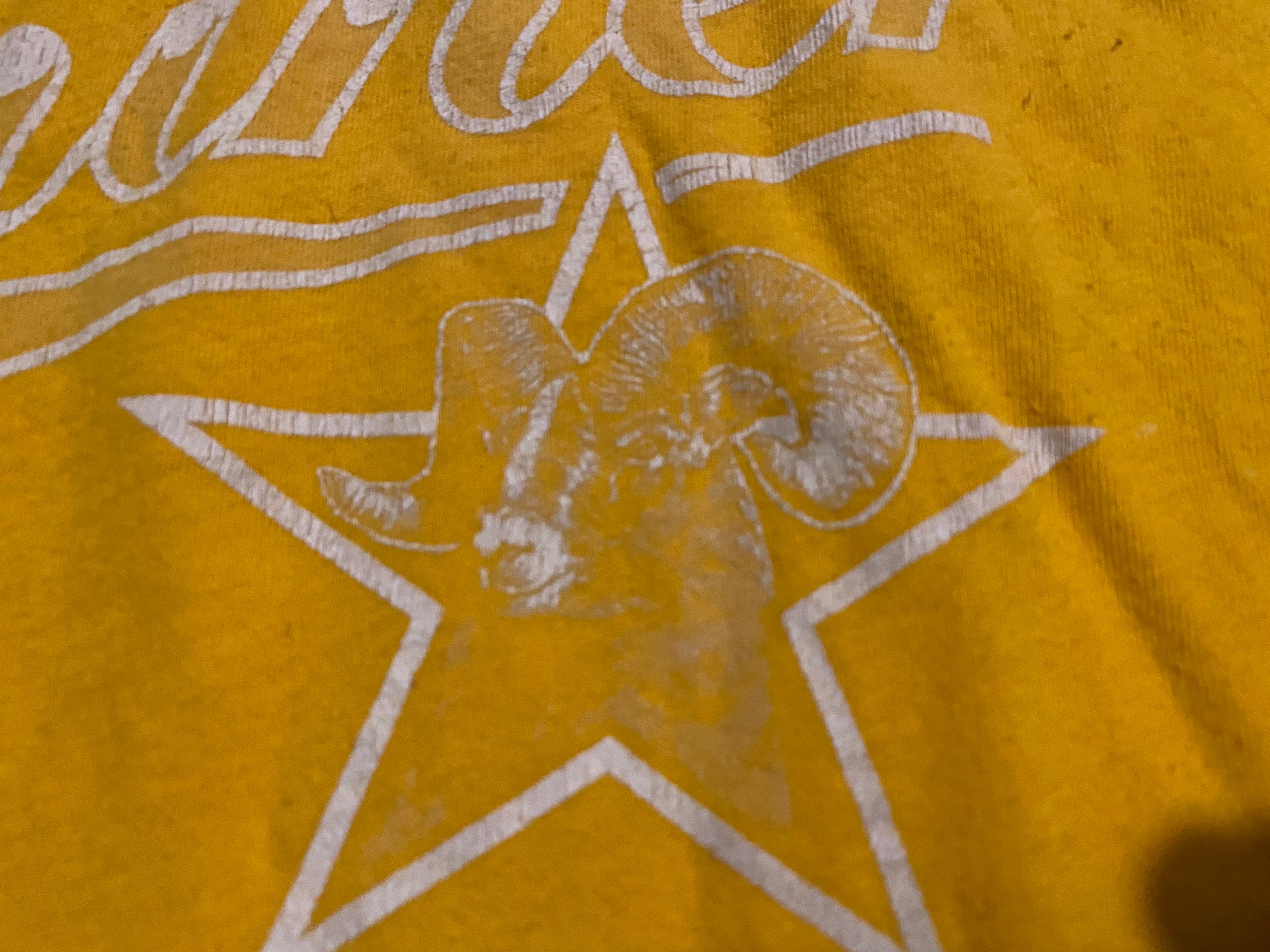 80’s Ladies XL Vintage Shiner Ringer Tee
