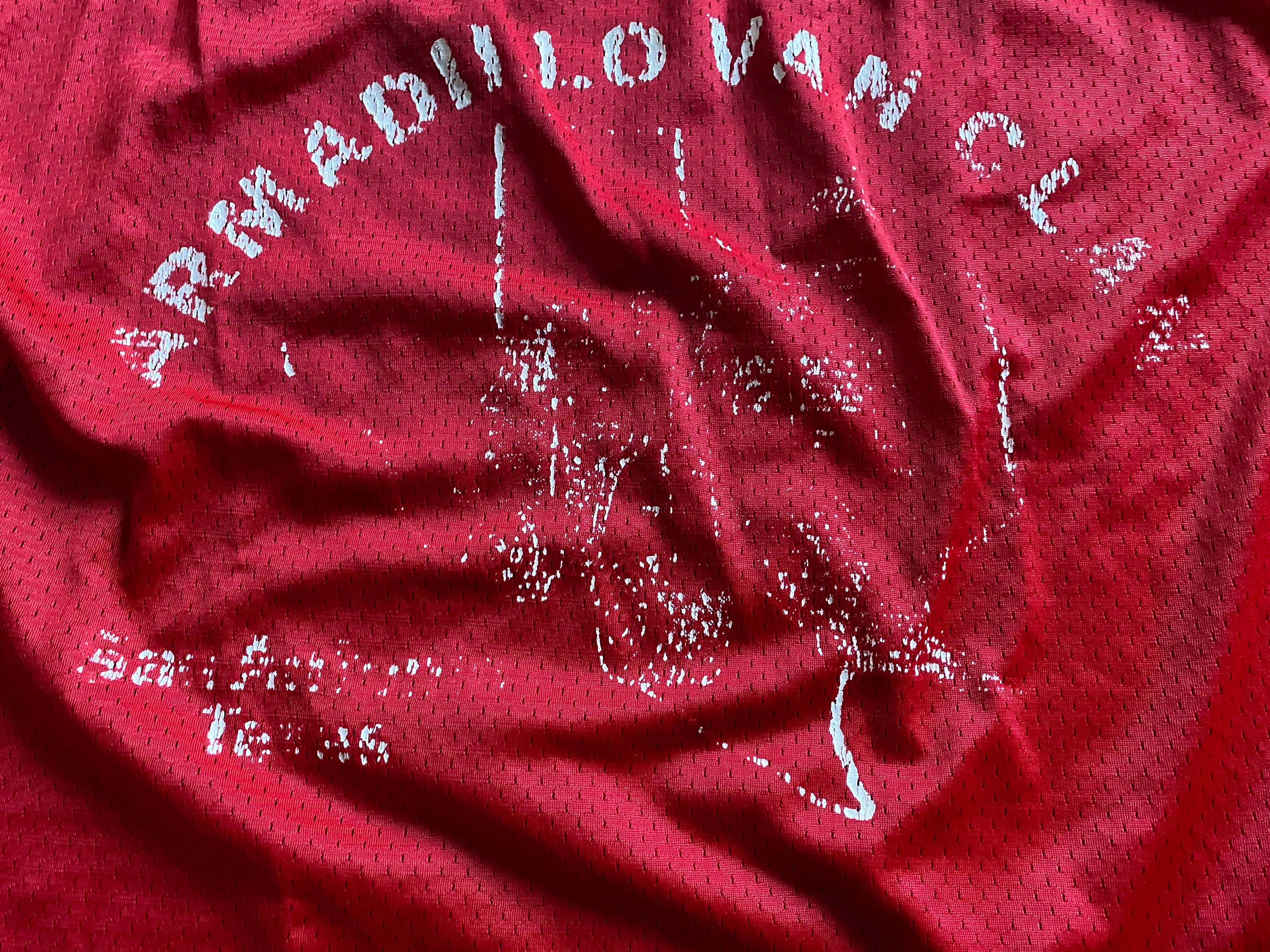 OG 80’s Size Medium Lone Star Armadillo Van Club Jersey